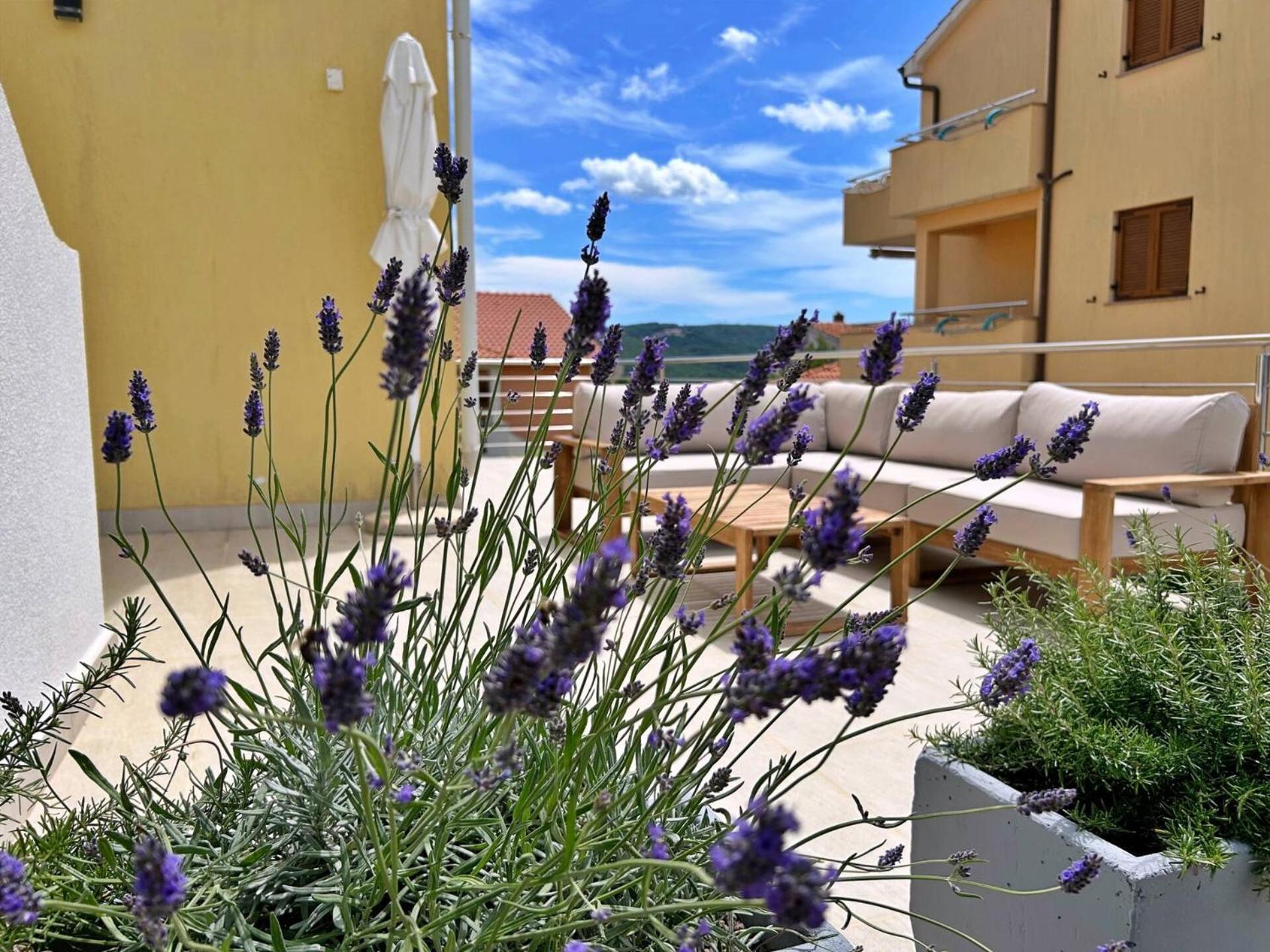 Apartments Pinta De Sol Čižići エクステリア 写真